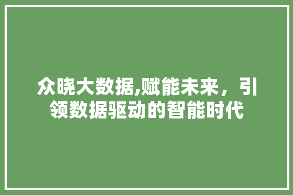 众晓大数据,赋能未来，引领数据驱动的智能时代