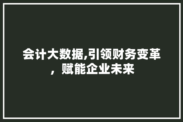 会计大数据,引领财务变革，赋能企业未来