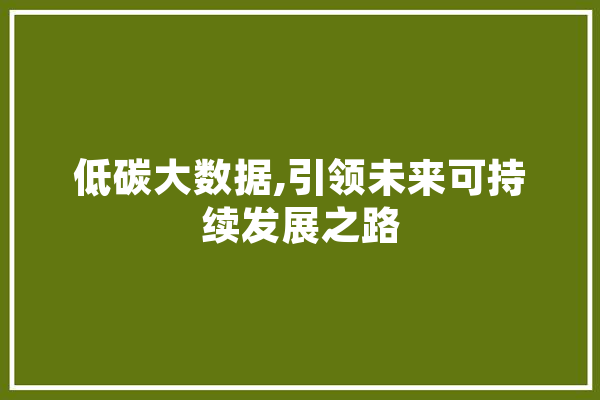 低碳大数据,引领未来可持续发展之路