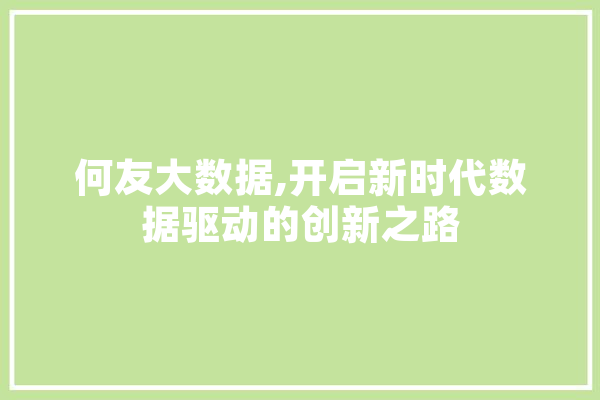 何友大数据,开启新时代数据驱动的创新之路 文字写作