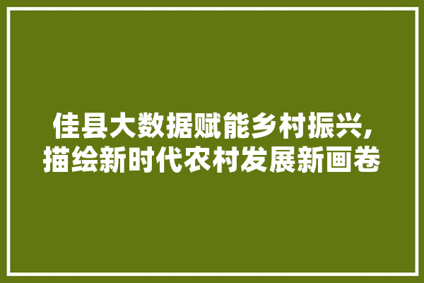 佳县大数据赋能乡村振兴,描绘新时代农村发展新画卷