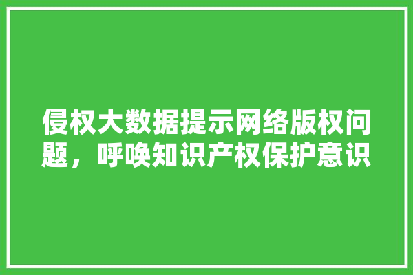 侵权大数据提示网络版权问题，呼唤知识产权保护意识提升