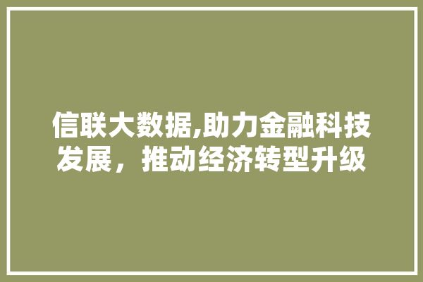 信联大数据,助力金融科技发展，推动经济转型升级 AI简讯