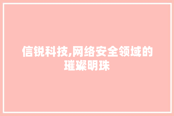 信锐科技,网络安全领域的璀璨明珠 绘影字幕