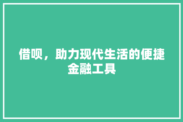 借呗，助力现代生活的便捷金融工具