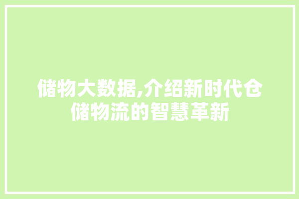 储物大数据,介绍新时代仓储物流的智慧革新 智能助手
