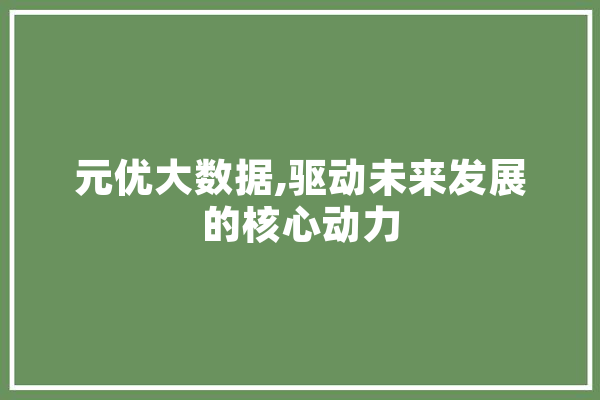 元优大数据,驱动未来发展的核心动力