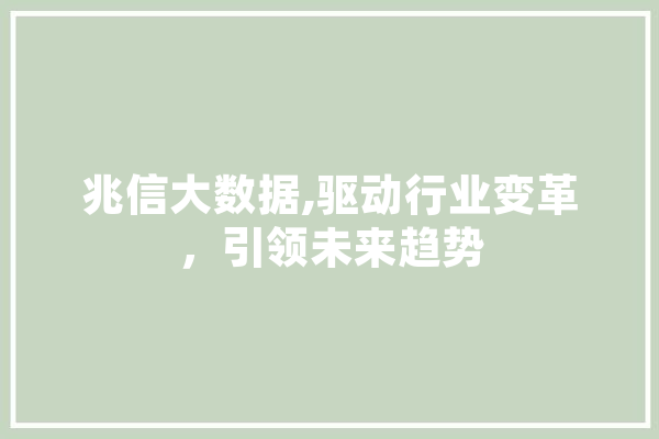 兆信大数据,驱动行业变革，引领未来趋势