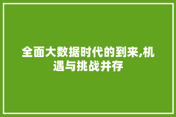 全面大数据时代的到来,机遇与挑战并存 科技快讯