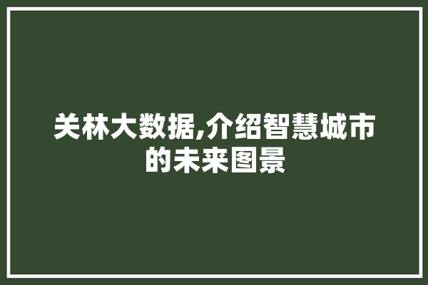 关林大数据,介绍智慧城市的未来图景