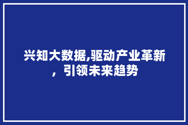 兴知大数据,驱动产业革新，引领未来趋势