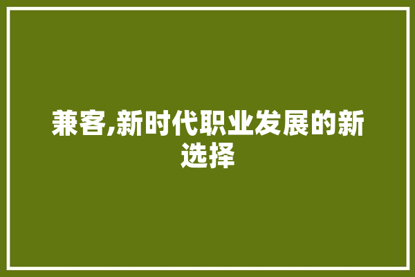 兼客,新时代职业发展的新选择