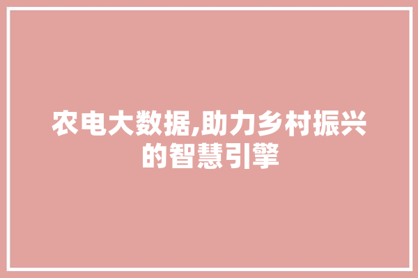 农电大数据,助力乡村振兴的智慧引擎