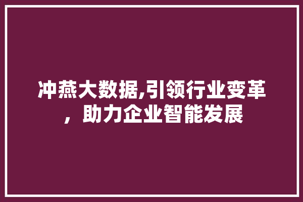 冲燕大数据,引领行业变革，助力企业智能发展