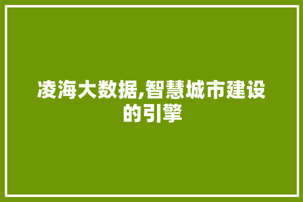 凌海大数据,智慧城市建设的引擎