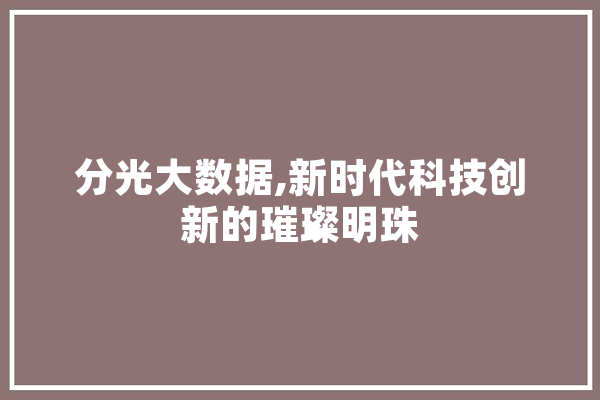 分光大数据,新时代科技创新的璀璨明珠