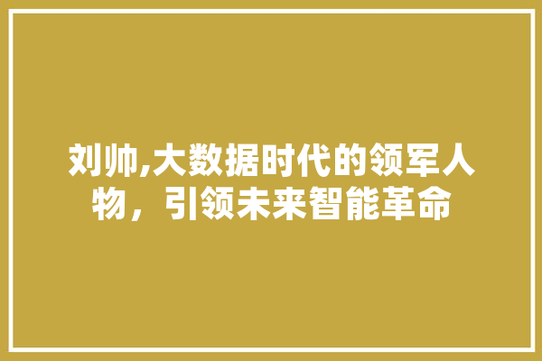 刘帅,大数据时代的领军人物，引领未来智能革命 智能写作
