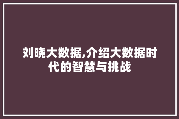 刘晓大数据,介绍大数据时代的智慧与挑战