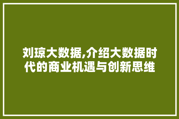 刘琼大数据,介绍大数据时代的商业机遇与创新思维