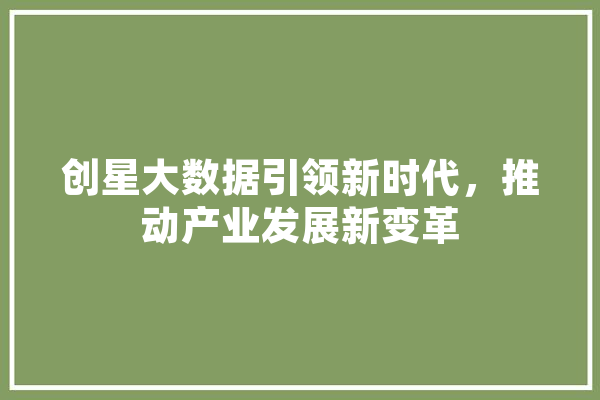 创星大数据引领新时代，推动产业发展新变革 绘影字幕