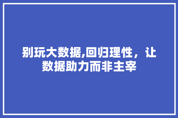 别玩大数据,回归理性，让数据助力而非主宰