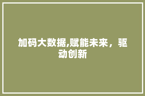 加码大数据,赋能未来，驱动创新