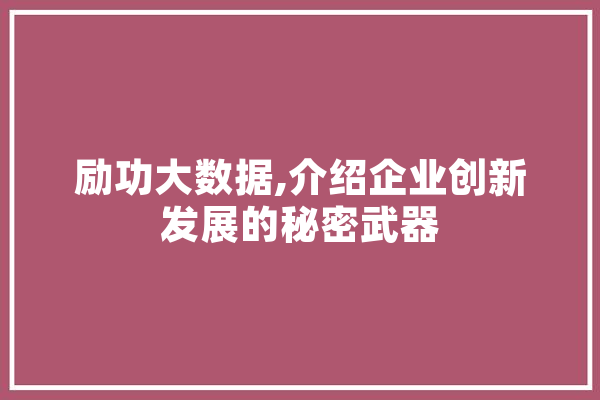 励功大数据,介绍企业创新发展的秘密武器