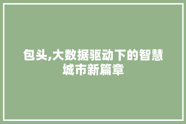 包头,大数据驱动下的智慧城市新篇章 绘影字幕