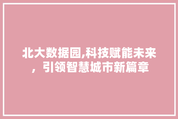北大数据园,科技赋能未来，引领智慧城市新篇章