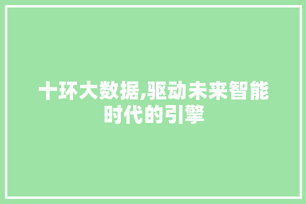 十环大数据,驱动未来智能时代的引擎 计算机