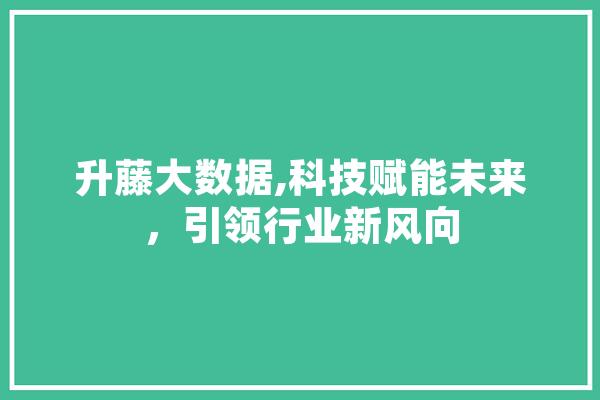 升藤大数据,科技赋能未来，引领行业新风向 计算机