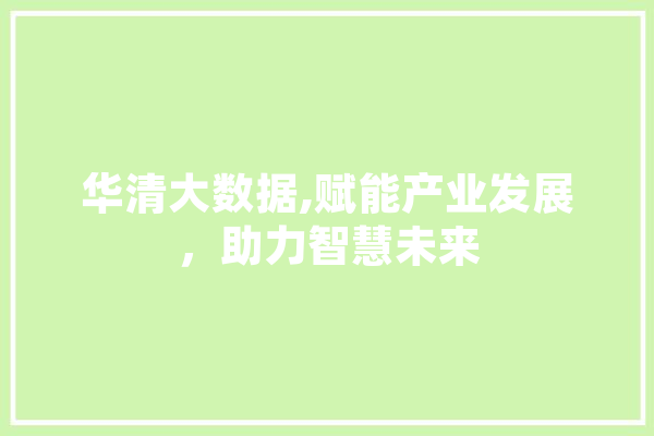 华清大数据,赋能产业发展，助力智慧未来