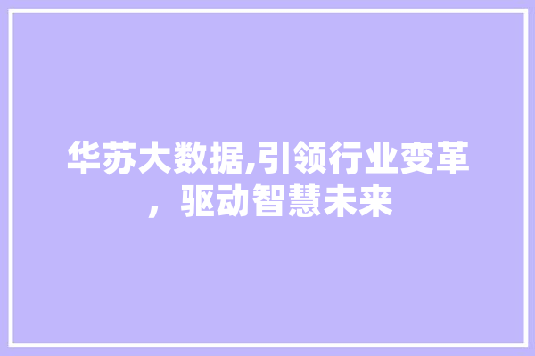 华苏大数据,引领行业变革，驱动智慧未来 AI简讯