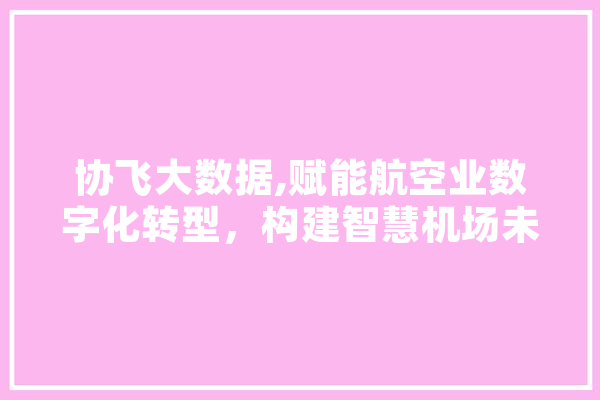 协飞大数据,赋能航空业数字化转型，构建智慧机场未来