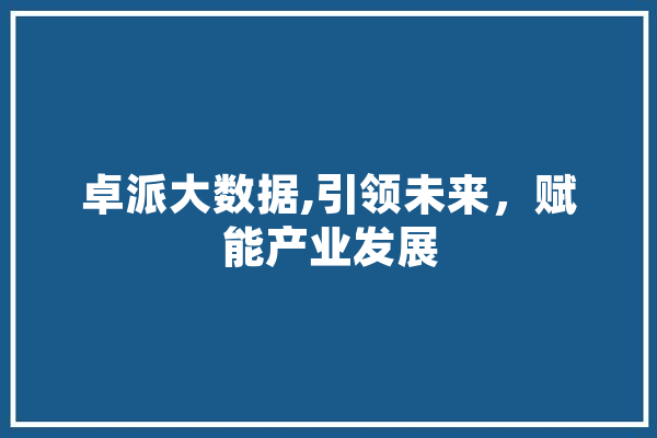 卓派大数据,引领未来，赋能产业发展 计算机