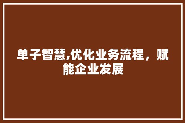 单子智慧,优化业务流程，赋能企业发展 绘影字幕