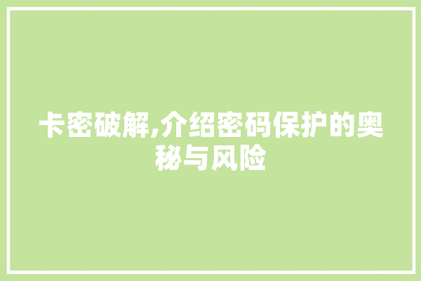 卡密破解,介绍密码保护的奥秘与风险 智能问答