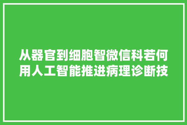 从器官到细胞智微信科若何用人工智能推进病理诊断技能？_细胞_涂片