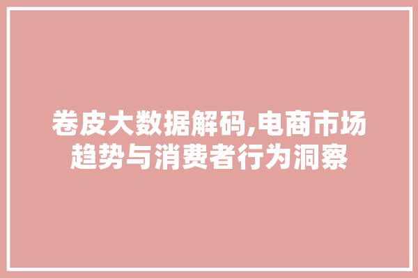 卷皮大数据解码,电商市场趋势与消费者行为洞察 计算机
