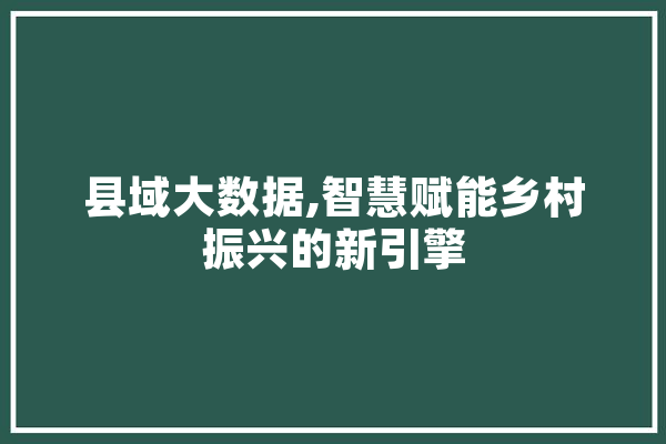 县域大数据,智慧赋能乡村振兴的新引擎