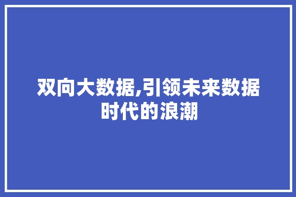 双向大数据,引领未来数据时代的浪潮 绘影字幕