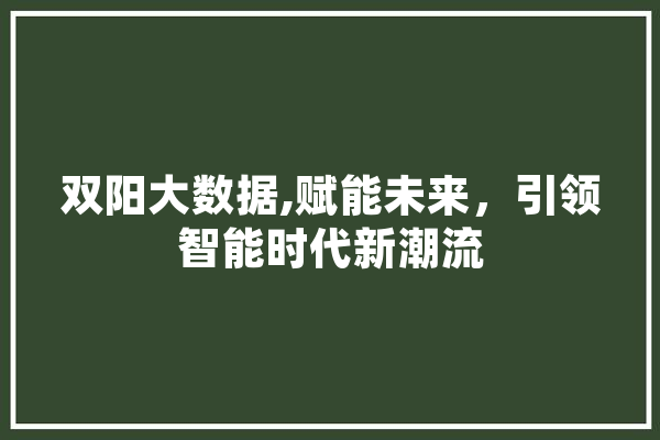 双阳大数据,赋能未来，引领智能时代新潮流