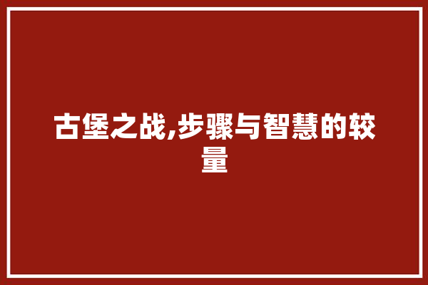 古堡之战,步骤与智慧的较量