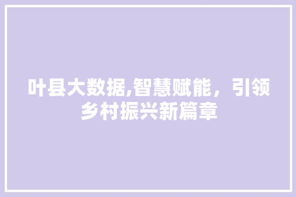 叶县大数据,智慧赋能，引领乡村振兴新篇章 智能写作