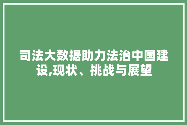 司法大数据助力法治中国建设,现状、挑战与展望