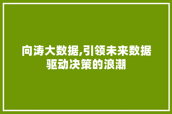 向涛大数据,引领未来数据驱动决策的浪潮 文字写作
