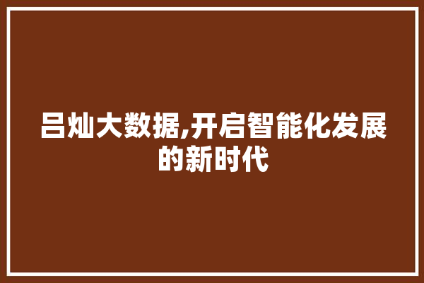 吕灿大数据,开启智能化发展的新时代 科技快讯