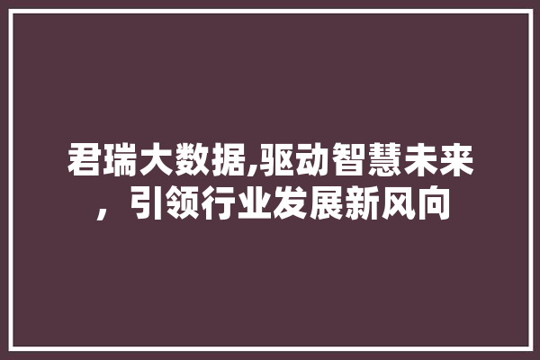 君瑞大数据,驱动智慧未来，引领行业发展新风向 AI快讯