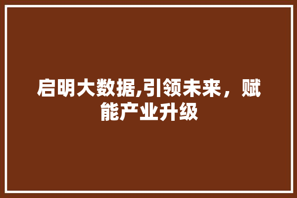 启明大数据,引领未来，赋能产业升级