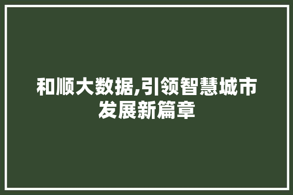 和顺大数据,引领智慧城市发展新篇章